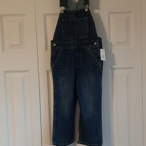 3T Gap Denim Overalls